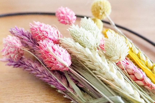 Aan de slag met droogbloemen! Aan de slag met droogbloemen!